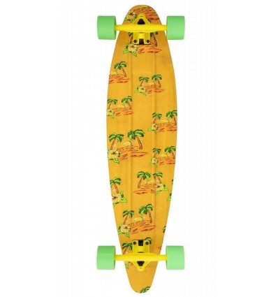 D-STREET pintail oasis lonboard completo