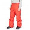 DC banshee pantaloni tecnici da snowboard da uomo