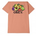 OBEY bowl of fruit classic tee citrus t-shirt