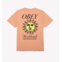 OBEY illumination classic t-shirt citrus