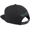 MITCHELL AND NESS nba team ground 2.0 celtics green black snapback one size