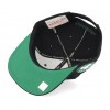 MITCHELL AND NESS nba team ground 2.0 celtics green black snapback one size