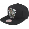 MITCHELL AND NESS nba team ground 2.0 celtics green black snapback one size