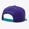 MITCHELL AND NESS nba charlotte snapback one size