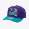 MITCHELL AND NESS nba charlotte snapback one size