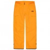 PICTURE Plan pants Carrot pantalone snow