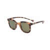 PARAFINA cauce tortoise occhiaie da sole unisex