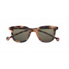 PARAFINA cauce tortoise occhiaie da sole unisex