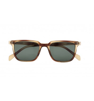 PARAFINA bosque taupe tortoise occhiale da sole unisex
