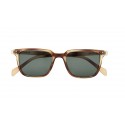 PARAFINA bosque taupe tortoise occhiale da sole unisex