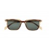 PARAFINA bosque taupe tortoise occhiale da sole unisex