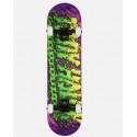 BIRDHOUSE tony hawk slim complete 8x31