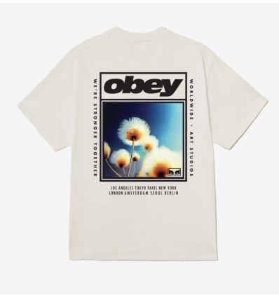OBEY stronger together vintage white